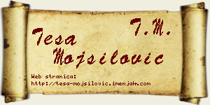 Teša Mojsilović vizit kartica